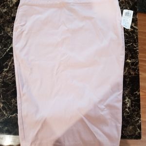 Windsor skirt- nwt